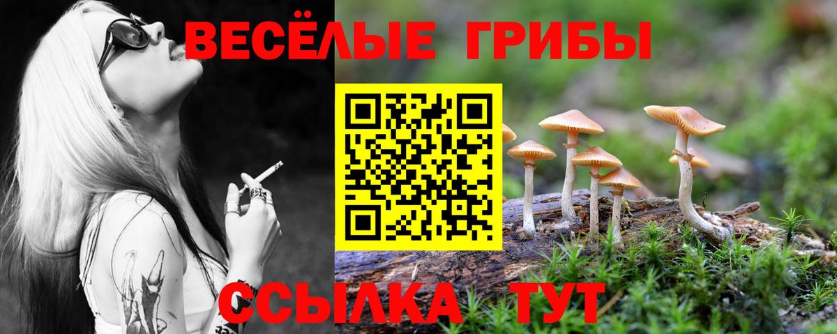 Галлюциногенные грибы Magic Shrooms Амурск