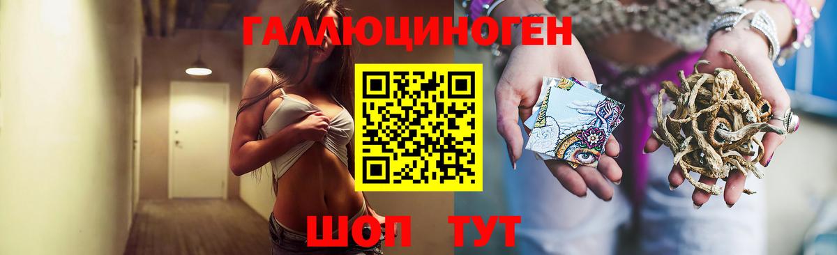 Амурск  Галлюциногенные грибы Psilocybine cubensis  Вход с VPN 